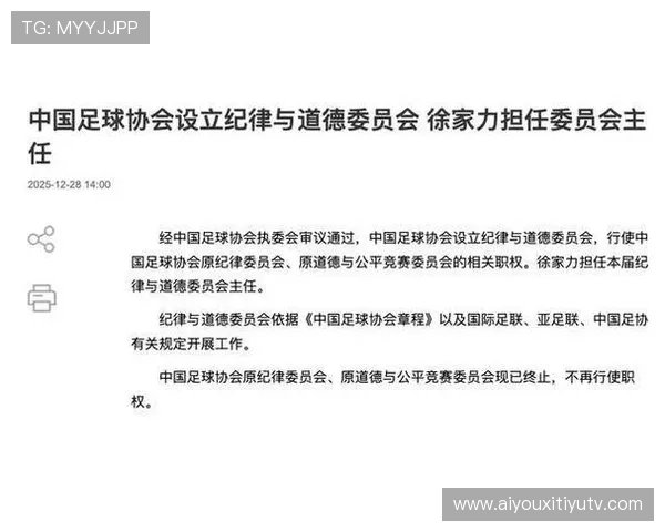 中国足协设立纪律与道德委员会，徐家力任主任
